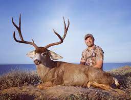 How to score and field judge elk. Field Judging Mule Deer Outdoors International