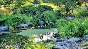 Build A Sustainable Sand Bottom Pond