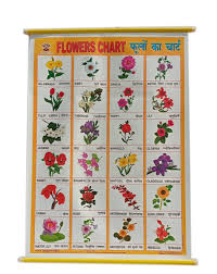 foam sheet flowers name teaching chart
