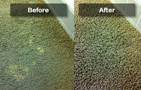 professional carpet dyeing services in