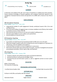resume & cv sample for auditor jobsdb