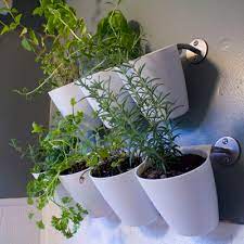Hanging Kitchen Herb Garden Ikea