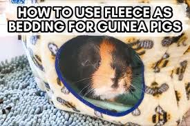 use fleece as bedding for guinea pigs