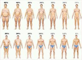 Check Your Body Fat Percentage Online Body Fat Percentage