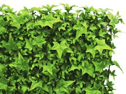 Artificial English Ivy Green Wall Mat