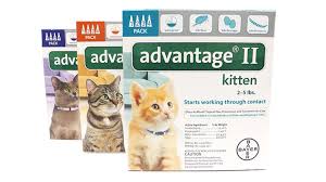 advantage ii for cats dosage fleascience