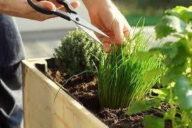 diffe types of gardening methods
