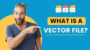 what is a vector file you