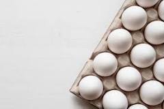 Pourquoi les Américains ont des œufs blancs ?