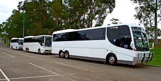 sydney coach travel group travel for