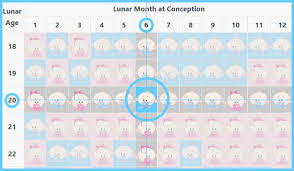 Chinese Gender Predictor Birth Calendar Pregnancy Chart
