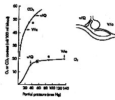 Αποτέλεσμα εικόνας για Curve of carbon dioxide content versus PCO2