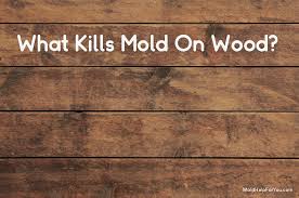 What Kills Mold On Wood Mold Help