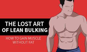If you want to learn how to lean bulk or how to set up a clean bulking diet and meal plan check out this. The Lost Art Of Lean Bulking How To Gain Muscle Without Fat Fitmole