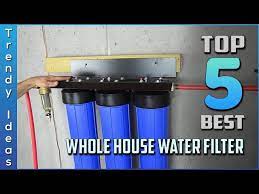top 5 best whole house water filters in