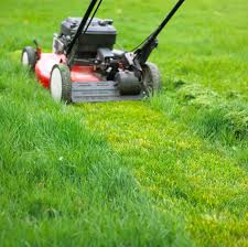 mow the lawn