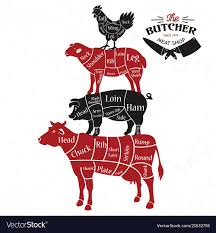 Cow Meat Cuts Diagram Schematics Online