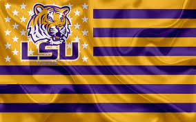 show your lsu tiger pride with