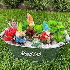 Mood Lab Miniature Garden Gnomes