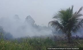 The world meteorological organization manual of codes includes a classification of horizontal obscuration into categories of fog, ice fog, steam fog, mist, haze, smoke. Malaysiakini Haze Brings More Problems And Negativity For The Palm Oil Industry