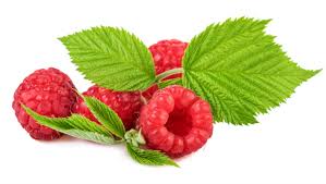 effects of red raspberry leaf tea on