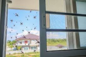 Fitted into the recess provided by the window extrusion. Fly Screens Insect Screens For Windows Doors Premier