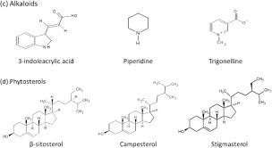biofuels and bioactive compounds