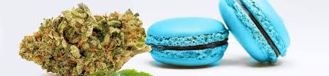 We use necessary cookies to make our site work. Blue Cookies Cannabis Strain The Complete Review