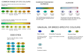 Colour And Pattern Charts Cat Eye Colors Cat Colors Eye