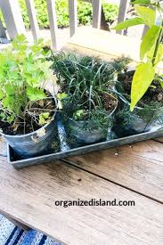 Small Herb Garden Ideas Organized Island