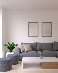 White Wall With Gray Couch In Living