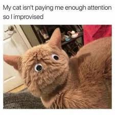 Of all creatures great and small, there is none more profoundly linked to the internet than the humble house cat. 100 Funniest Cat Memes Everbest Life
