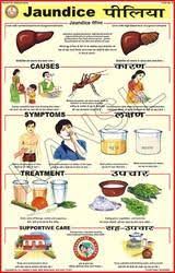 Jaundice For Prevent Diseases Chart