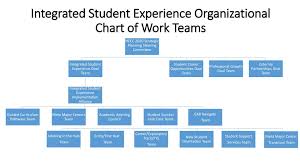 Integrated Student Experience Organizational Chart Of Work