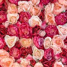 18 rose colors and their meanings parade