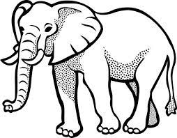 Sketsa gambar gajah hitam putih. 13 Sketsa Gambar Gajah Terbaik Dan Terlengkap