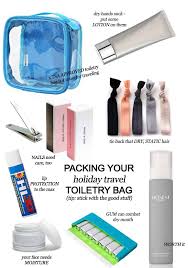 holiday travel toiletry bag