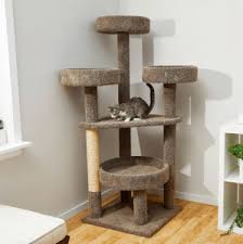 17 best cat trees towers for large or