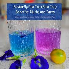 erfly pea tea blue tea benefits
