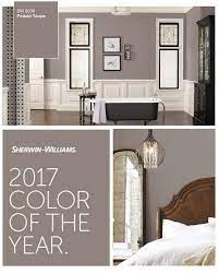 2017 Paint Color Forecasts And Trends