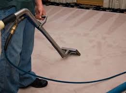 best lynnwood carpet cleaning company
