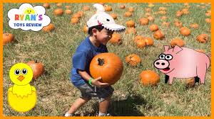 What is pumpkin patch for halloween. Kids Trip To The Farm With Halloween Pumpkin Patch Youtube