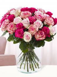 pink roses premium pink roses from