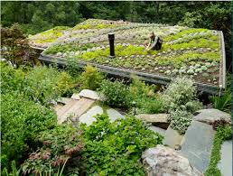 Hardscaping 101 Green Roofs Gardenista