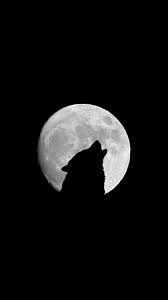 Hdwallpapers.net is a place to find the best wallpapers and hd backgrounds for your computer desktop (windows, mac or linux), iphone. Wallpaper Full Moon Wolf Howl Bw Black Wolf With Galaxy Background 938x1668 Wallpaper Teahub Io