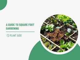A Guide To Square Foot Gardening
