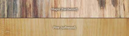 hardwood vs softwood difference and