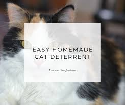 easy homemade cat deter