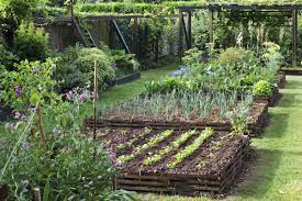 Locataire : pouvez-vous transformer le jardin en potager ?