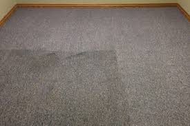 carpet cleanin plus carpet